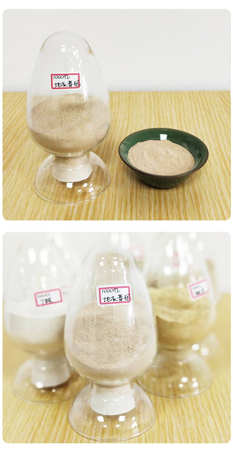 地衣芽孢桿菌